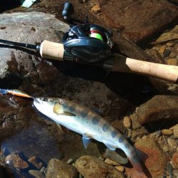 もののふ４５Ｓでアマゴ爆釣！